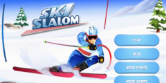 Ski Slalom